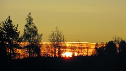 Solnedgang bak trær