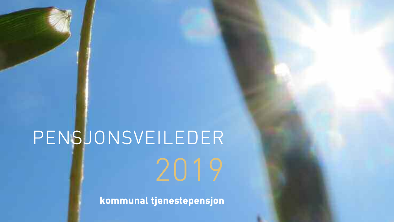 Pensjonsveileder 2019