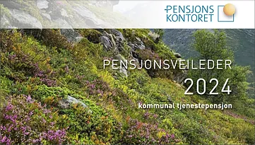 Pensjonsveileder 2024