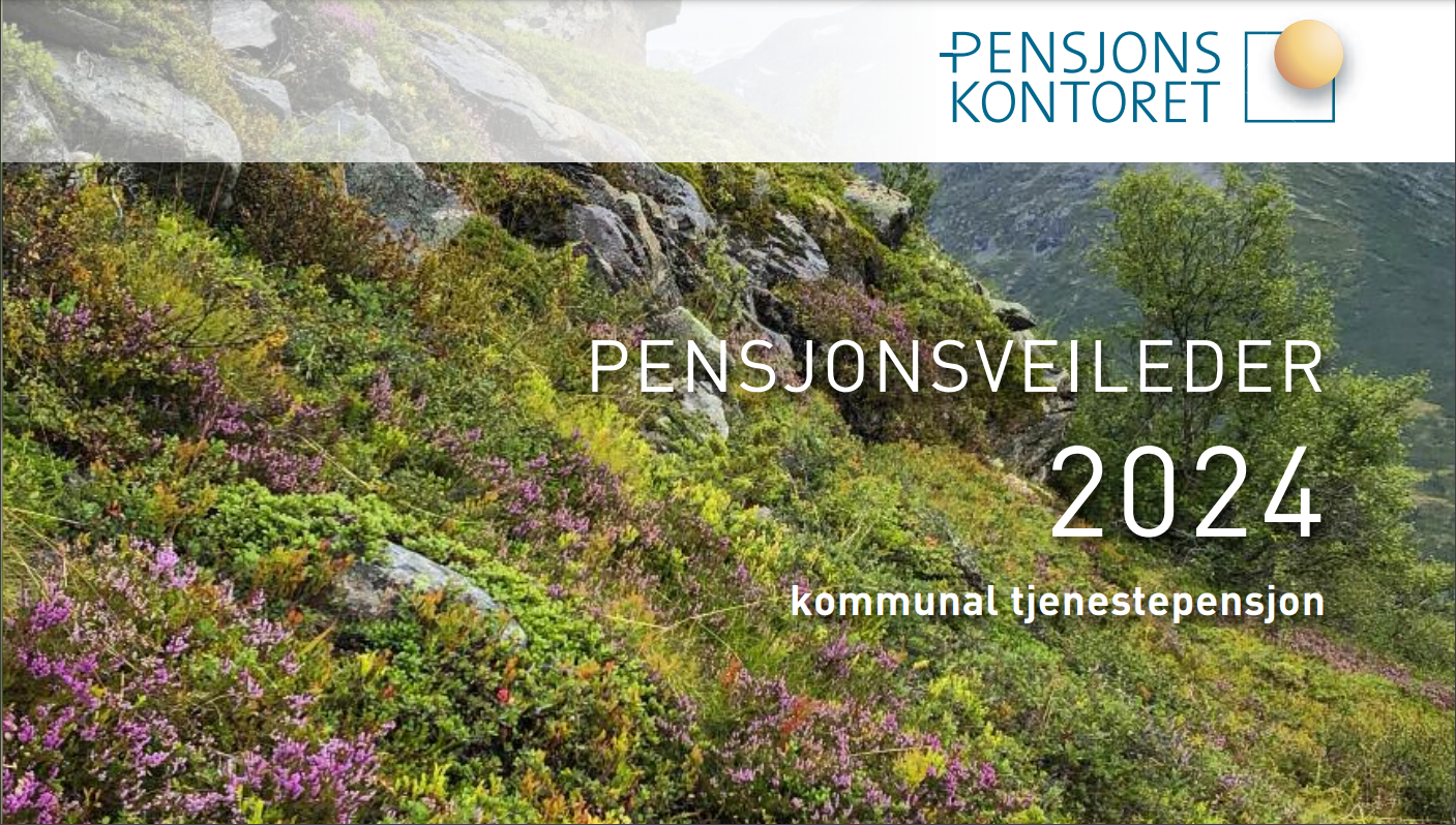 Pensjonsveileder 2024
