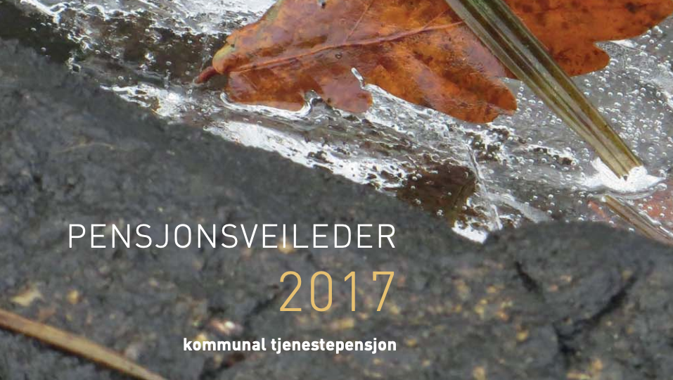 Pensjonsveileder 2017