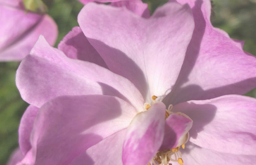 Utsnitt av bakside av Pensjonsveileder 2024