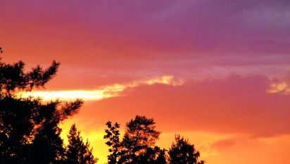 Fargerik himmel over trær